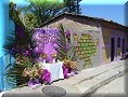 El Salvador - La Palma - 14/04/2006 - 09:44