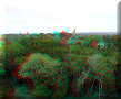 Tikal - 15/04/2008 - 08:41 Tikal - 15/04/2008 - 08:41