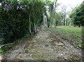 Guatemala - Yaxha - 16/04/2008 - 16:11