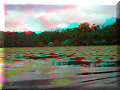 Sur le Rio Dulce - 17/04/2008 - 15:43