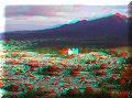Esquipulas - 19/04/2008 - 16:51