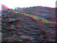 Pacaya - 22/04/2008 - 17:50