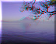 Panajachel - 25/04/2008 - 07:44 Panajachel - 25/04/2008 - 07:44