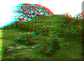 El Baúl - 28/04/2008 - 14:57 El Baúl - 28/04/2008 - 14:57