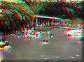 Fuente Georginas - 01/05/2008 - 10:37
