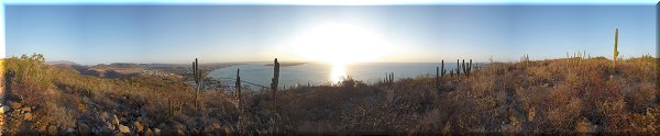Vue sur la ville et la baie depuis une colline.