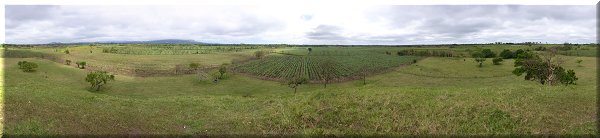 Site archéologique, vue depuis la Loma Camila sur les champs de cane à sucre.