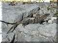 Tulum - 05/04/2008 - 08:19