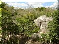 Cobá - 05/04/2008 - 13:32