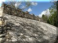 Cobá - 05/04/2008 - 14:07