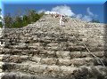 Cobá - 05/04/2008 - 14:49
