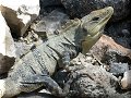 Chichen Itza - 06/04/2008 - 11:12