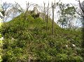 Uxmal - 07/04/2008 - 14:50