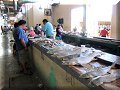 Campeche - 08/04/2008 - 13:41
