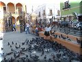 Campeche - 08/04/2008 - 17:41