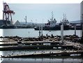 Ensenada - 05/03/2010 - 12:06