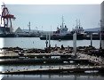Ensenada - 05/03/2010 - 12:06