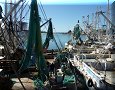 Puerto Peñasco - 08/03/2010 - 14:35