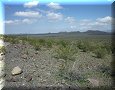 El Pinacate - 09/03/2010 - 12:25