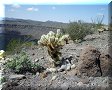El Pinacate - 09/03/2010 - 12:31