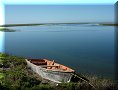 Guerrero Negro - 15/03/2010 - 09:29