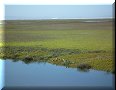 Guerrero Negro - 15/03/2010 - 09:40