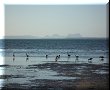 Bahia San Ignacio - 18/03/2010 - 17:45