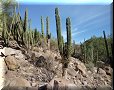 Route vers San Javier - 22/03/2010 - 08:31