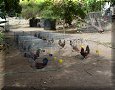 San Javier - 22/03/2010 - 09:51