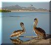 San José del Cabo - 25/03/2010 - 17:40