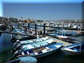 Cabo San Lucas - 26/03/2010 - 14:18