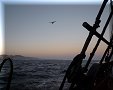 Cabo San Lucas - 26/03/2010 - 18:34