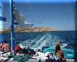 Cabo San Lucas - 27/03/2010 - 14:21