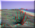 Todos Santos - 29/03/2010 - 14:59 Todos Santos - 29/03/2010 - 14:59