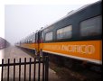Los Mochis - 31/03/2010 - 06:06