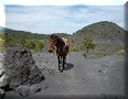 Paricutin - 03/04/2010 - 10:41