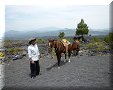 Paricutin - 03/04/2010 - 12:09