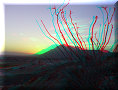 Cuatro Cienagas, COA - 21/02/2014 - 18:41 Cuatro Cienagas, COA - 21/02/2014 - 18:41