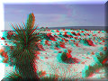Cuatro Cienagas, COA - 22/02/2014 - 11:43 Cuatro Cienagas, COA - 22/02/2014 - 11:43