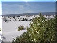Cuatro Cienagas, COA - 22/02/2014 - 11:47