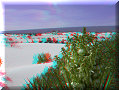 Cuatro Cienagas, COA - 22/02/2014 - 11:47 Cuatro Cienagas, COA - 22/02/2014 - 11:47