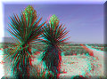 Cuatro Cienagas, COA - 22/02/2014 - 11:59 Cuatro Cienagas, COA - 22/02/2014 - 11:59