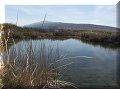 Cuatro Cienagas, COA - 22/02/2014 - 13:00