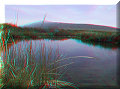 Cuatro Cienagas, COA - 22/02/2014 - 13:00 Cuatro Cienagas, COA - 22/02/2014 - 13:00