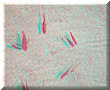 Cuatro Cienagas, COA - 22/02/2014 - 13:09 Cuatro Cienagas, COA - 22/02/2014 - 13:09