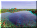 Cuatro Cienagas, COA - 22/02/2014 - 13:15 Cuatro Cienagas, COA - 22/02/2014 - 13:15