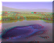 Cuatro Cienagas, COA - 22/02/2014 - 13:20 Cuatro Cienagas, COA - 22/02/2014 - 13:20