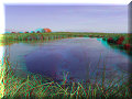 Cuatro Cienagas, COA - 22/02/2014 - 13:31 Cuatro Cienagas, COA - 22/02/2014 - 13:31