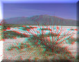 Cuatro Cienagas, COA - 22/02/2014 - 14:45 Cuatro Cienagas, COA - 22/02/2014 - 14:45