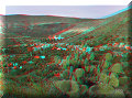 Real de Catorce, SLP - 25/02/2014 - 17:14 Real de Catorce, SLP - 25/02/2014 - 17:14